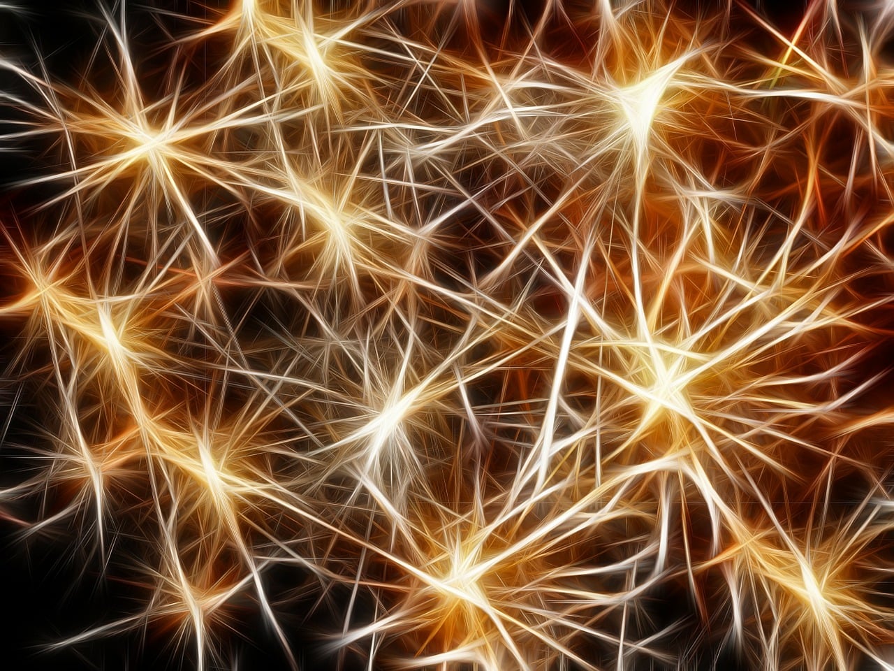 Neurodivergent therapy