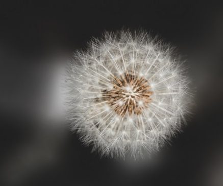 Photo by Andreas Haslinger on Unsplash
