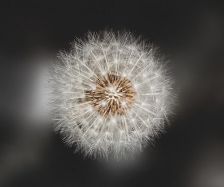 Photo by Andreas Haslinger on Unsplash