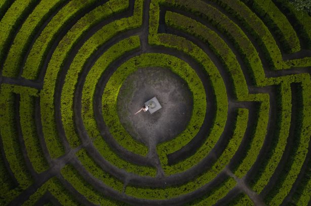 Drone shot of a woman standing in the center of a lush green hedge maze.